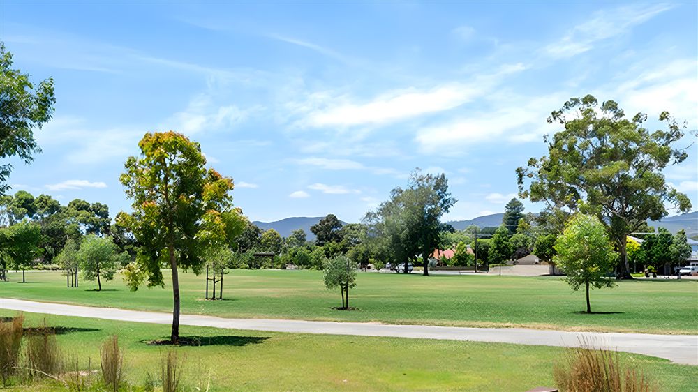 Open green reserve with mature trees and a walking path